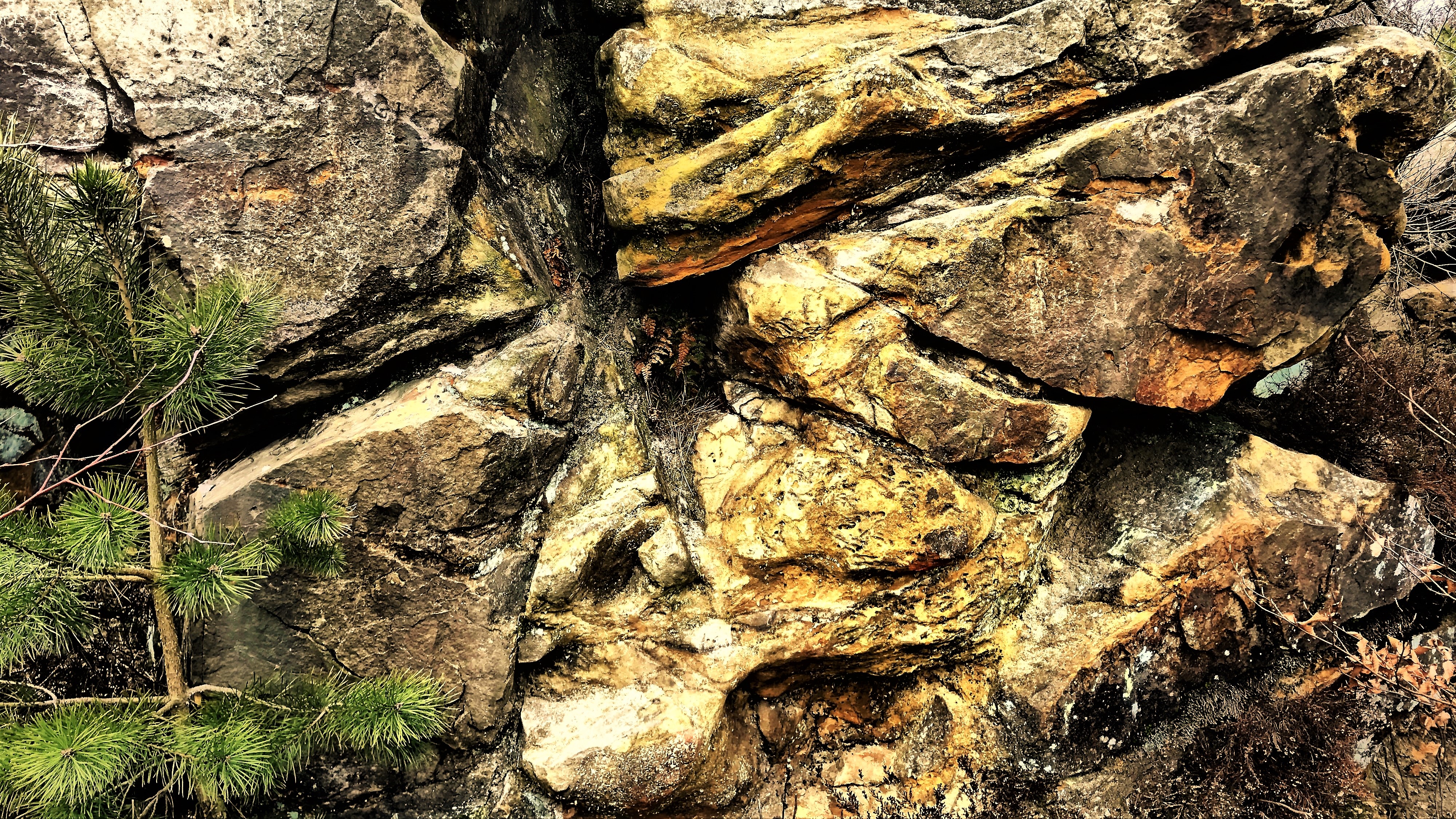 STONE 6